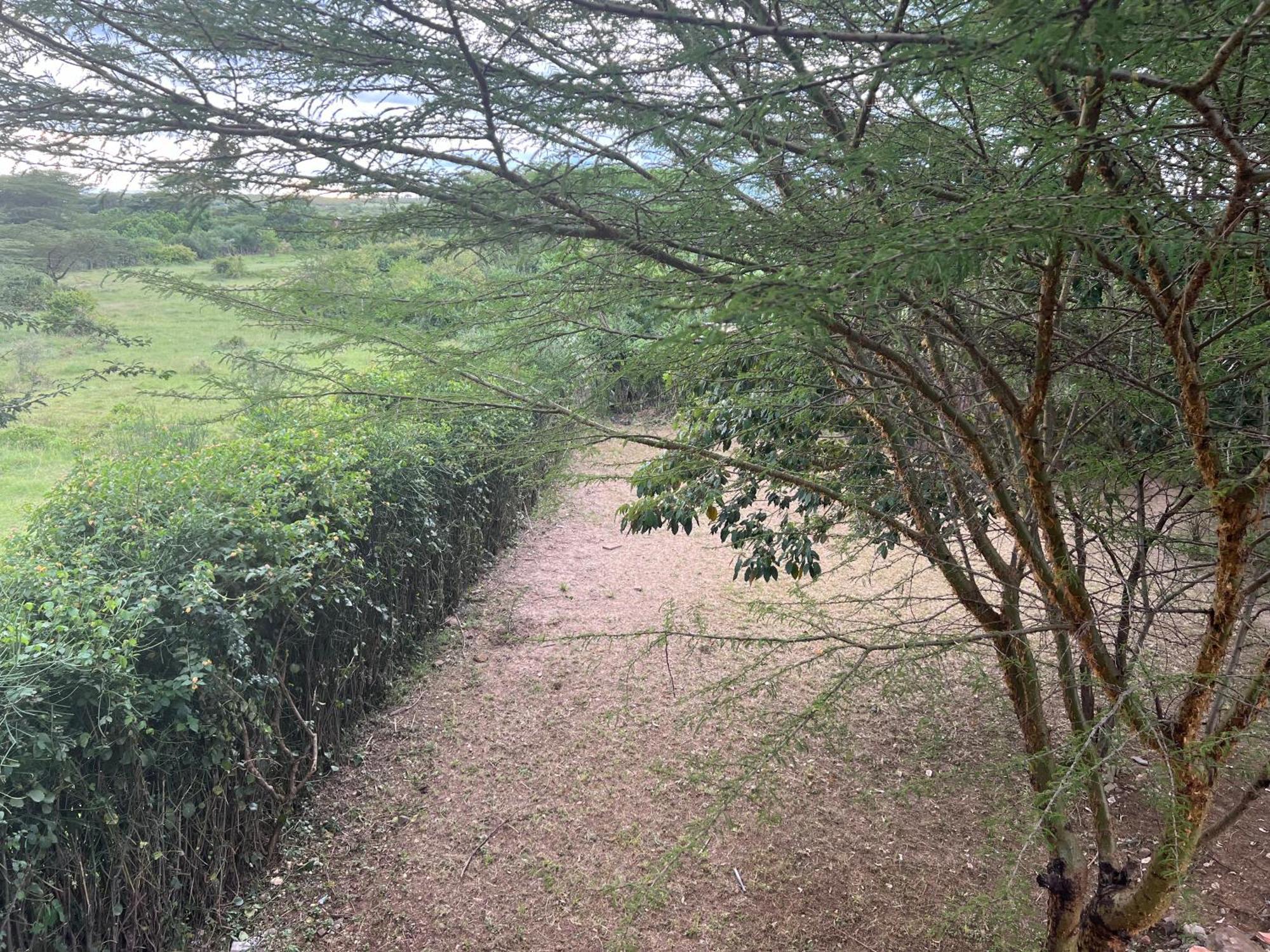 Villa Olaloi Mara Camp Maasai Mara Exterior foto